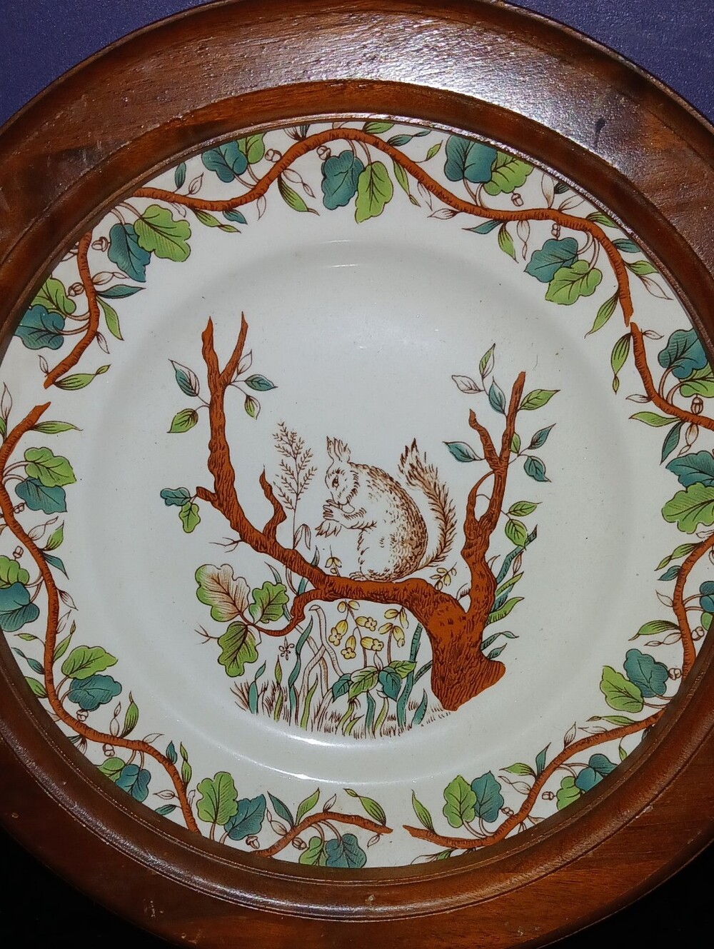 Tiffany & Co. White Ceramic Childrens Plate with Squirrel 8" w/wood Plate Frame